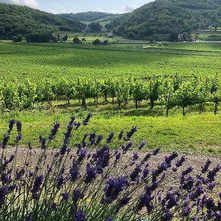 Maison d'hôtes Ai Filari Baone