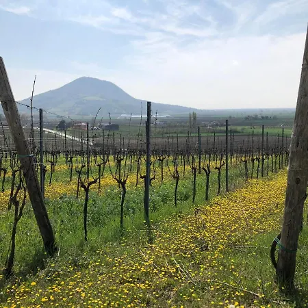 Ai Filari Maison d'hôtes 4*