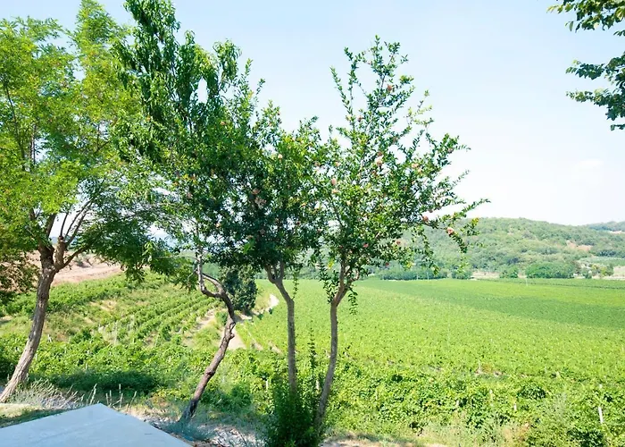 Ai Filari Gasthof Baone